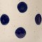 1334-1-5-slika_proizvoda