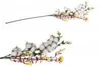 Dekorativna grana sa belim cvetovima pamuka