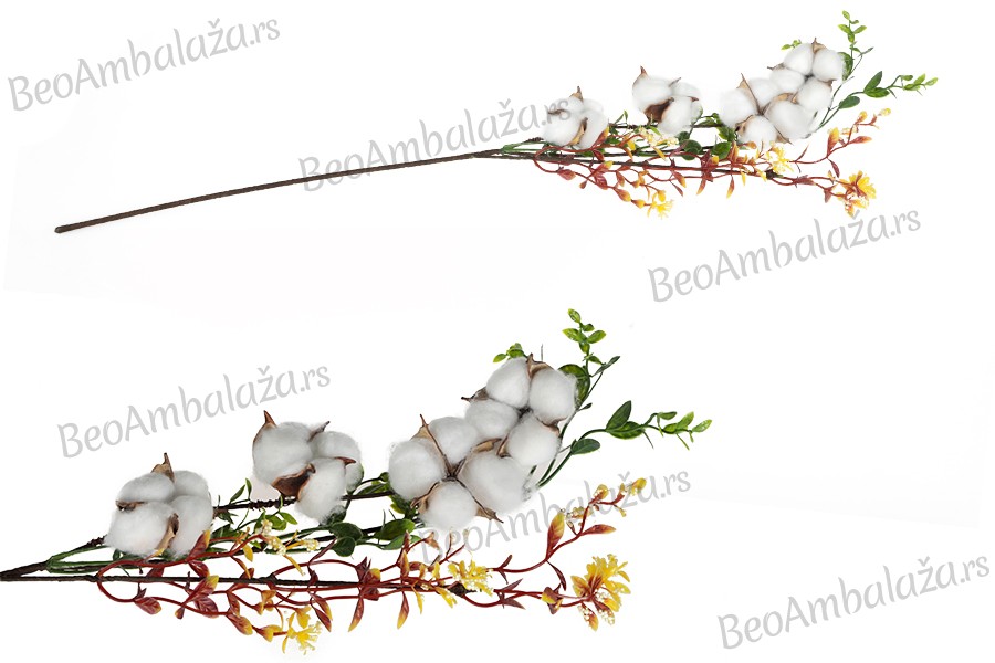 Dekorativna grana sa belim cvetovima pamuka