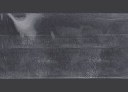 Termoskupljajuća perforirana plastična folija širine 121 mm - dužina metar (f 77,1) Termoskupljajuća perforirana plastična folija širine 121 mm - dužina metar (f 77,1)