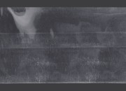 Termoskupljajuća perforirana plastična folija širine 173 mm - dužina metar (f 110,2) Termoskupljajuća perforirana plastična folija širine 173 mm - dužina metar (f 110,2)