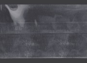 Termoskupljajuća perforirana plastična folija širine 181 mm - dužina metar (f 115,3) Termoskupljajuća perforirana plastična folija širine 181 mm - dužina metar (f 115,3)