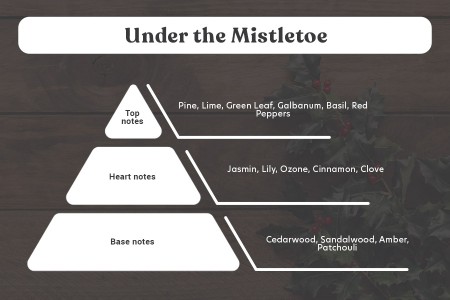 Under the Mistletoe - Aromatična sveća od sojinog voska sa pamučnim fitiljem (110gr)-grupa_slika