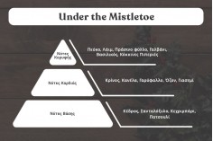 Under the Mistletoe - Aromatična sveća od sojinog voska sa pamučnim fitiljem (110gr)