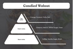 Candied Walnut - Aromatična sveća od sojinog voska sa pamučnim fitiljem (110gr)