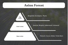 Asian Forest - Aromatična sveća od sojinog voska sa pamučnim fitiljem (110gr)