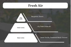 Fresh Air - Aromatična sveća od sojinog voska sa pamučnim fitiljem (110gr)