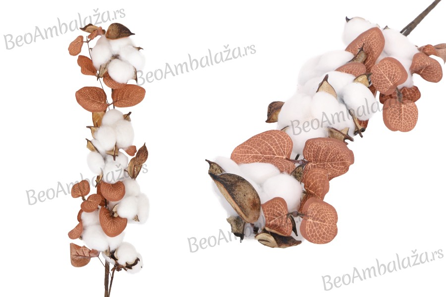Dekorativna grana - cvet pamuka sa braon listovima