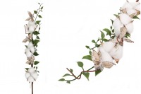 Dekorativna grana sa cvetovima pamuka i zelenim listovima