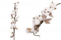 Dekorativna grana - cvet pamuka