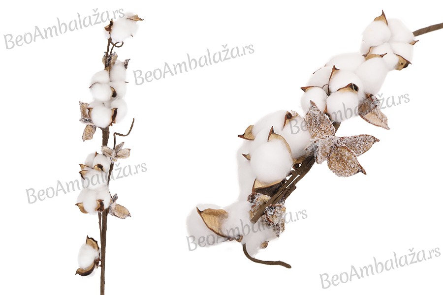 Dekorativna grana - cvet pamuka