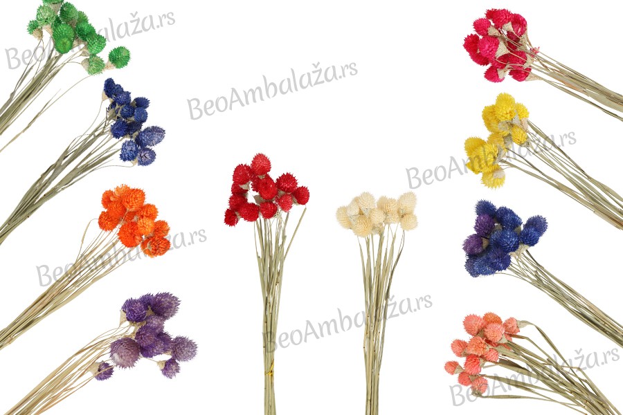 Suvo cveće za dekoraciju - 1 kom (buket sa oko 15 grana)