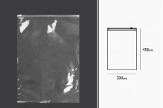 Transparentna plastična kesica 300x450 mm sa belim patent zatvaranjem- 50kom
