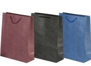 Papirna kesa 250x100x330mm sa ručkom, u više boja - 12 kom Papirna kesa 250x100x330mm sa ručkom, u više boja - 12 kom