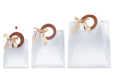 Plastična poluprovidna poklon torbica 160x80x185 mm sa mašnom i kožnim ručkama - 12 kom-grupa_slika