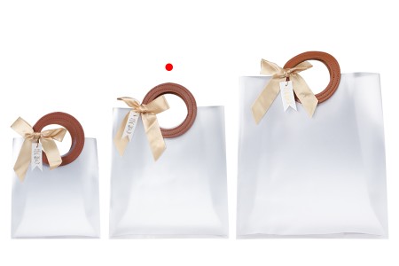 Plastična poluprovidna poklon torbica 200x100x220 mm sa mašnom i kožnim ručkama - 12 kom-grupa_slika