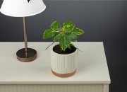 Dekorativna posuda od cementa 103,5x98 mm - 4 kom (miks boja) Dekorativna posuda od cementa 103,5x98 mm - 4 kom (miks boja)