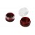 Bordo [10224] 