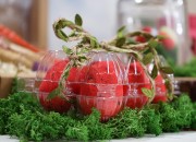 Plastične kutije za jaja sa 10 mesta, dimenzija 238x100x65 mm - 100 kom