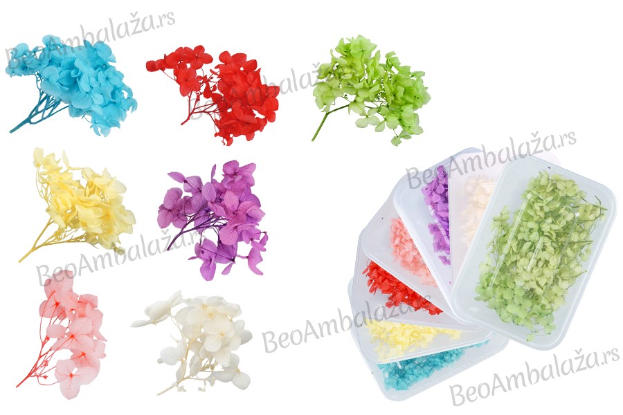 Suvo cveće za dekoraciju u više boja - 6 gr