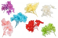 Suvo cveće za dekoraciju u više boja - 6 gr