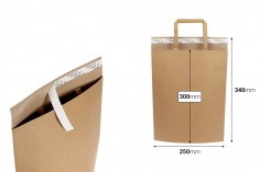 Papirna kesa (300gsm) 250x300 mm sa unutrašnjom ručkom i samolepljivim zatvaranjem - 20 kom