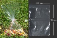Kesice providne 300x450 mm za pakovanje hrane – 100 komada
