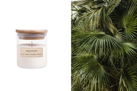 Asian Forest - Aromatična sveća od sojinog voska sa pamučnim fitiljem (110gr)-slika_proizvoda