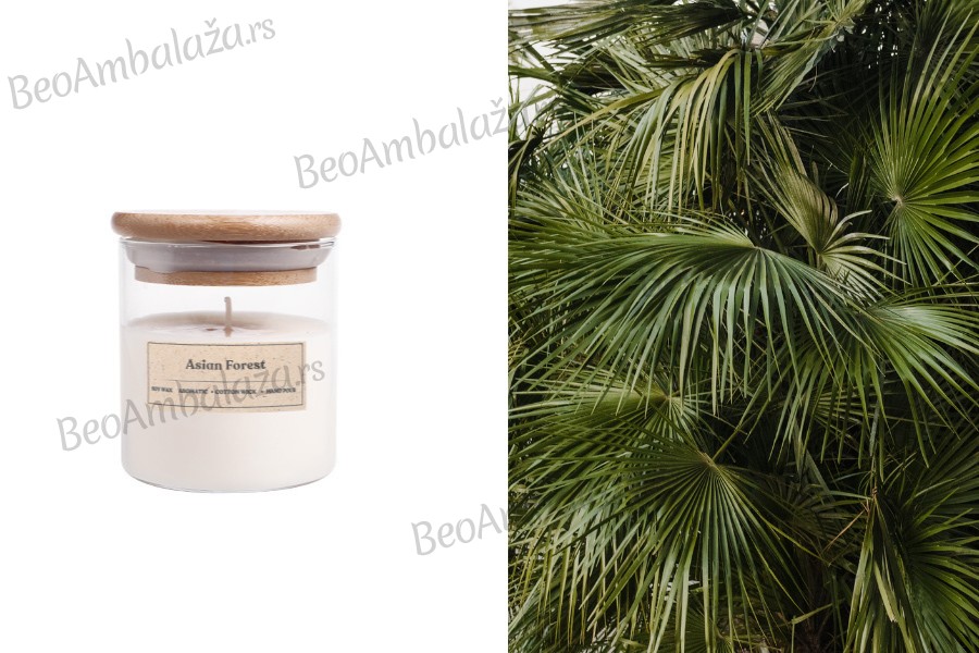 Asian Forest - Aromatična sveća od sojinog voska sa pamučnim fitiljem (110gr)