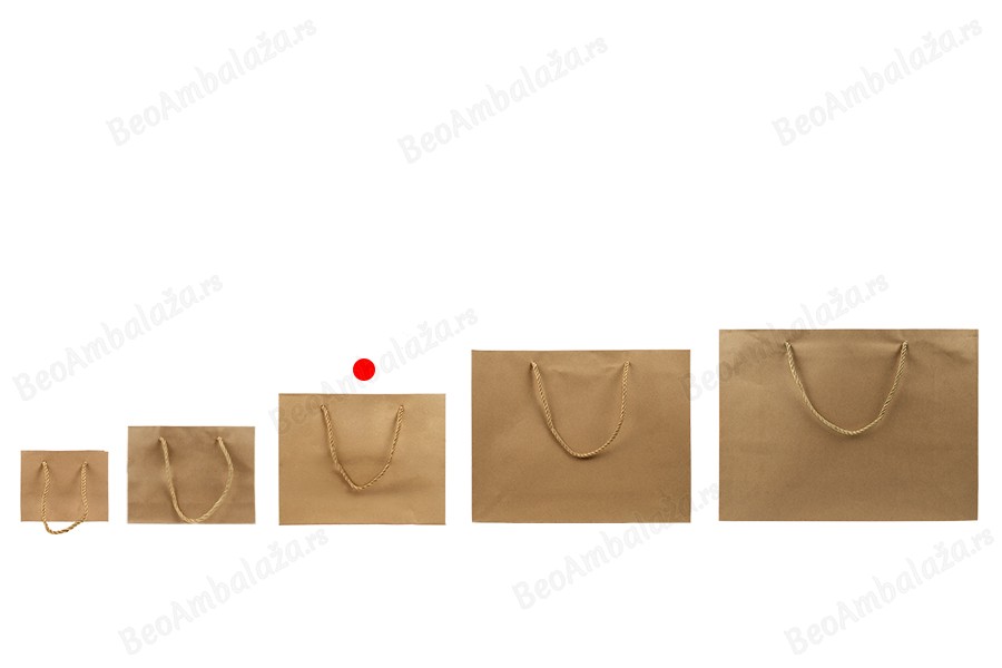 Papirna braon poklon kesa sa uvijenom ručkom 250x90x200mm - 12 kom-grupa_slika