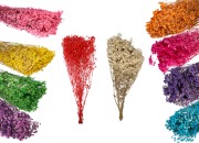 Suvo ukrasno cveće - buket od 100 gr-slika_proizvoda