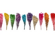 Suvo ukrasno cveće - buket od 100 gr-grupa_slika