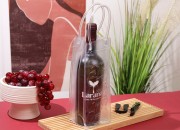 Providna izotermička torba za flašu, sa ručkom-grupa_slika