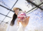 Providna (PET) plastična limenka 210mL (u obliku kuglice) bez poklopca (nepohodna upotreba mašine za zatvaranje) - 200 kom-grupa_slika