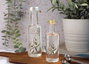Providna staklena flašica 50mL (PP 18)-grupa_slika