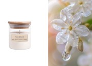 Fresh & Sweet - Aromatična sveća od sojinog voska sa pamučnim fitiljem (110gr)-slika_proizvoda
