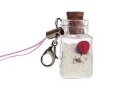 Mini dekorativne teglice sa kukicom za mobilne telefone - ključeve-grupa_slika