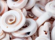 Ukrasne školjke u prirodnim nijansama - paket 200 gr (oko 24 kom) Ukrasne školjke u prirodnim nijansama - paket 200 gr (oko 24 kom)