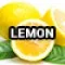 22-2580-1 (Lemon)