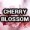 Cherry Blossom