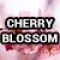 20-2866-2 (Cherry Blossom)