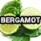 22-2580-3 (Bergamot)