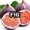 Fig