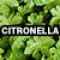 22-2580-2 (Citronela)