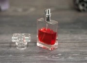 Staklena bočica za parfeme 30mL sa zatvaračem i sprejom (PP 15) Staklena bočica za parfeme 30mL sa zatvaračem i sprejom (PP 15)