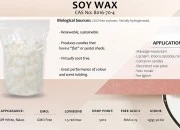 Sojin vosak u ljuspicama (čvrst) - 1kg Sojin vosak u ljuspicama (čvrst) - 1kg