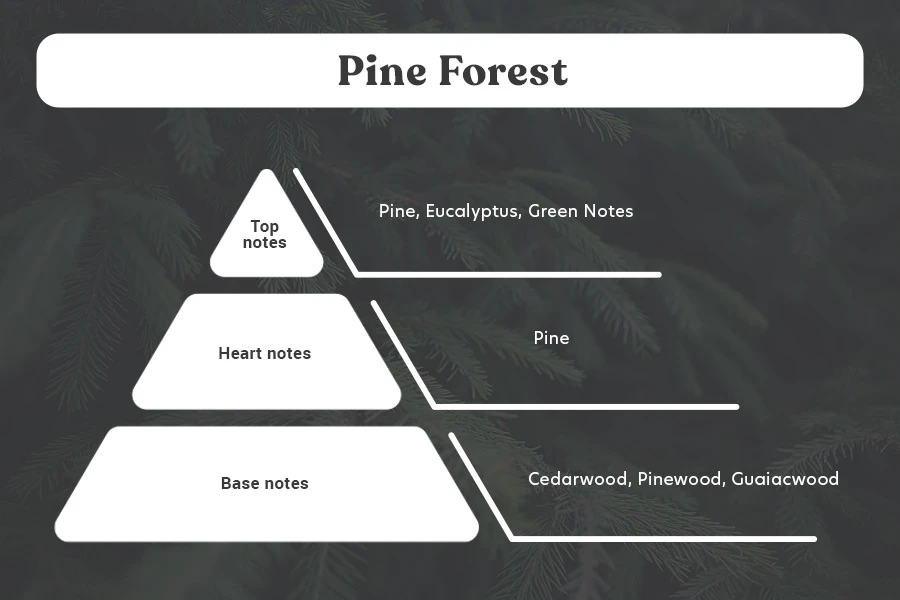 Pine Forest - Aromatična sveća od sojinog voska sa pamučnim fitiljem (110gr)-