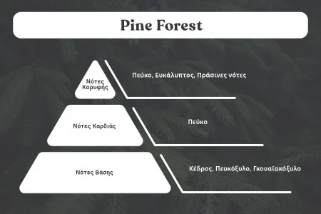 Pine Forest - Aromatična sveća od sojinog voska sa pamučnim fitiljem (110gr)-dimenzije_slike