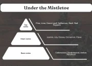 Under the Mistletoe - Aromatična sveća od sojinog voska sa pamučnim fitiljem (110gr)-