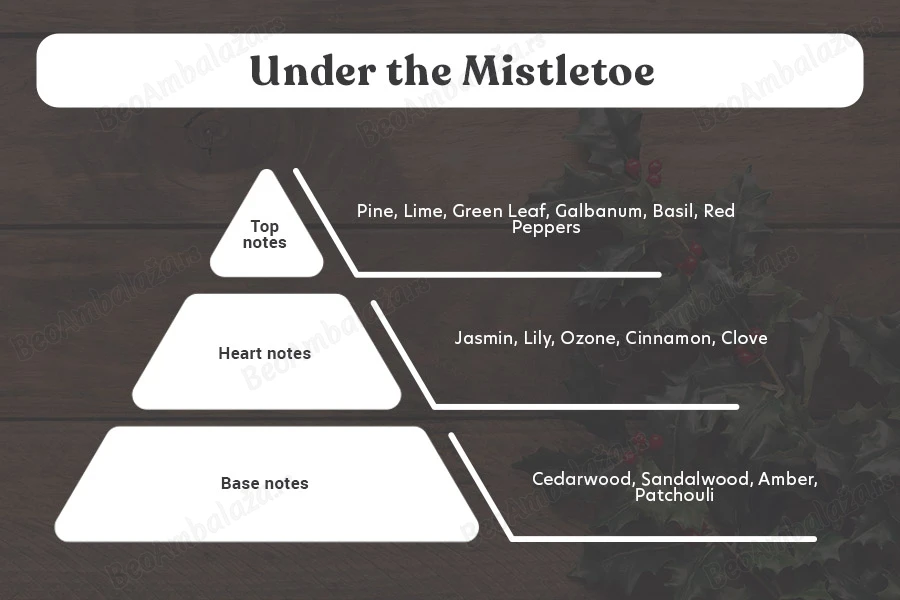 Under the Mistletoe - Aromatična sveća od sojinog voska sa pamučnim fitiljem (110gr)-